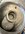 IMG_7222.jpeg