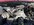 IMG_7226.jpeg