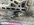 IMG_7166.jpeg