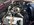 IMG_7229.jpeg