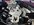IMG_7225.jpeg