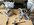 IMG_7220.jpeg