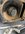 IMG_2247.jpeg