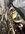 IMG_2248.jpeg