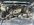 IMG_7590.jpeg