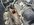 IMG_7591.jpeg