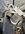 IMG_7594.jpeg