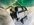 IMG_8261.jpeg