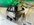IMG_8260.jpeg