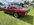IMG_7025.jpeg