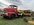 IMG_7392.jpeg
