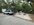 IMG_8273.jpeg