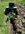 IMG_7400.jpeg