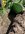IMG_7401.jpeg