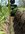 IMG_7402.jpeg
