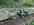 IMG_7403.jpeg