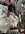 IMG_2280.jpeg