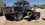 IMG_2895.jpeg