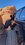 IMG_2914.jpeg