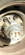 IMG_3504.png