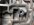 IMG_7267.jpeg