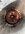 IMG_7287.jpeg