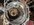 IMG_7290.jpeg