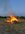 IMG_5364.jpeg