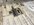 IMG_8953.jpeg
