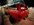 IMG_8422.jpeg
