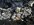 IMG_0424.jpeg