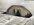 IMG_8958.jpeg