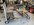 IMG_9221.jpeg