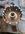 IMG_7291.jpeg