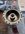 IMG_7293.jpeg