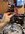 IMG_7318.jpeg