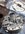 IMG_7320.jpeg