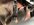 IMG_0437.jpeg