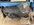 IMG_7888.jpeg