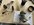 IMG_7795.jpeg