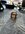 IMG_7796.jpeg