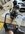 IMG_7798.jpeg