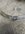 IMG_1156.jpeg