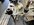 IMG_1158.jpeg