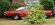 IMG_4137.jpeg