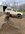 received_419087244161370.jpeg