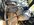 IMG_3813.jpeg