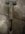 IMG_9739.jpeg