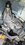 IMG_4753.jpeg