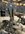 IMG_0991.jpeg